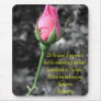 Pink Rose 4 Psalm 19:14