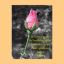Pink Rose 4 Psalm 19:14 postcards by ChristianDevotion Pink Rose 4 Psalm 19:14 postcards