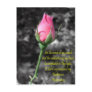 Pink Rose 4 Psalm 19:14