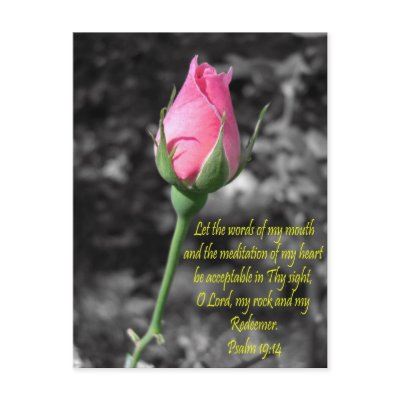 Pink Rose 4 Psalm 19:14 Postcards by ChristianDevotion