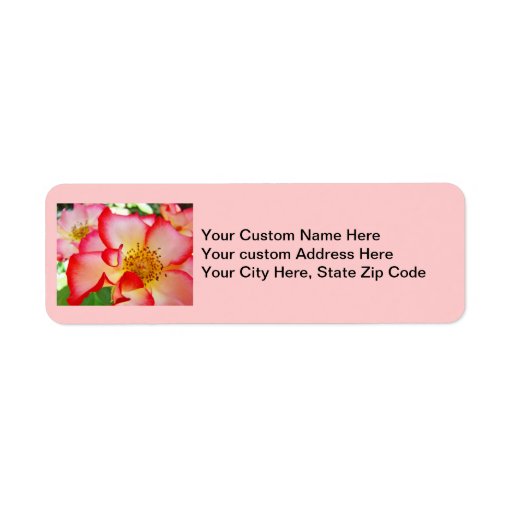 Pink Rose Address Labels Designer Roses Zazzle