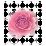 Pink Rose and Abstract Design Tshirt