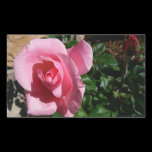 Pink Rose and Bud Sticker