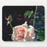 Pink rose and buds  flowers mouse pads