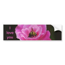 Pink Rose and bumble bee Bumper Stickers