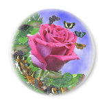 Pink Rose and Butterflies Pink Rose and Butterflies