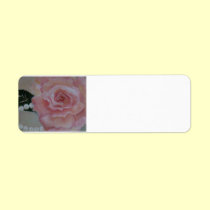 pink rose and pearl painting by  Gwen Billips labels