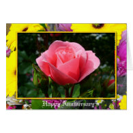 pink rose anniversary card greeting cards