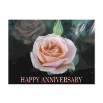 Pink rose anniversay post card