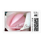 baby, girl, pink, rose, stamp, postage,