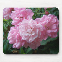 Pink Rose Beauties mousepads by SusanParsons Pink Rose Beauties mousepads