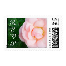 Pink rose beautiful floral RSVP Stamp