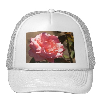 Pink Rose Blossom