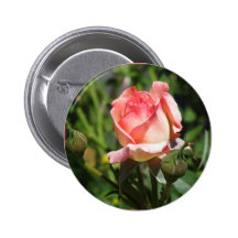 Pink Rose Bud