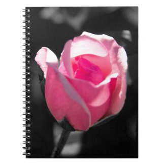 Pink Rose Bud BW Notebooks
