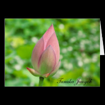 Pink Rose Bud Card by Rajee1 Pink Rose Bud Card