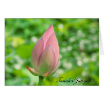 Pink Rose Bud Card cards