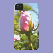 Pink Rose Bud iPhone 4 Case casemate cases