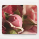 Pink Rose Bud mousepads by TDSwhite Pink Rose Bud mousepads