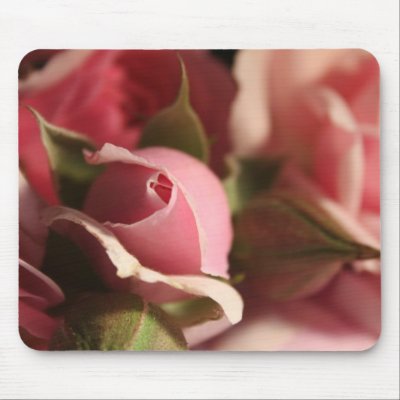 Pink Rose Bud Mousepad by TDSwhite