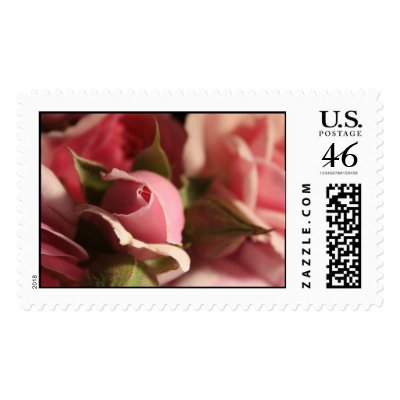 Pink Rose Bud Stamps