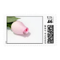 Pink Rose Bud Template Postage Stamp