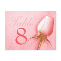 Pink rose bud wedding table number 1-9 postcard