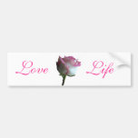 Pink Rose Bumper Stickers