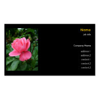 pink rose business card templates
