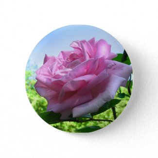 Pink Rose Button button
