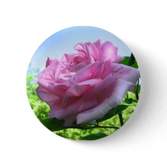 Pink Rose Button button