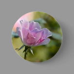 Pink Rose Button