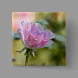 Pink Rose Button