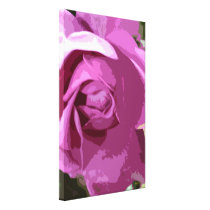 Pink Rose by Apollo Stretched Canvas Print