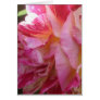 Pink Rose Card
