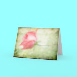 Pink Rose cards