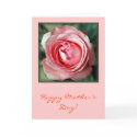 "Pink Rose" cards