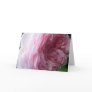 Pink Rose Card