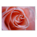 Pink Rose cards