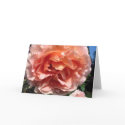 Pink Rose card