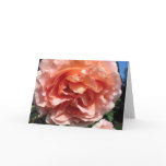 Pink Rose Card