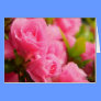 Pink Rose Card