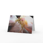 Pink Rose Card