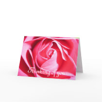 Pink Rose Card, Thinking of you