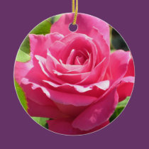 Pink  Rose Christmas Ornament ornaments