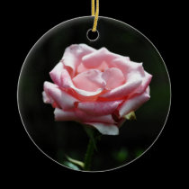 Pink Rose Close-up ornaments