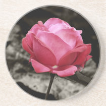Pink Rose coasters coasters
