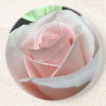 Pink Rose Coasters coasters