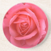 Pink Rose Coasters Pink Rose Gifts Keepsake Decor coasters