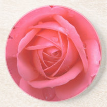 Pink Rose Coasters Pink Rose Gifts Keepsake Decor coasters